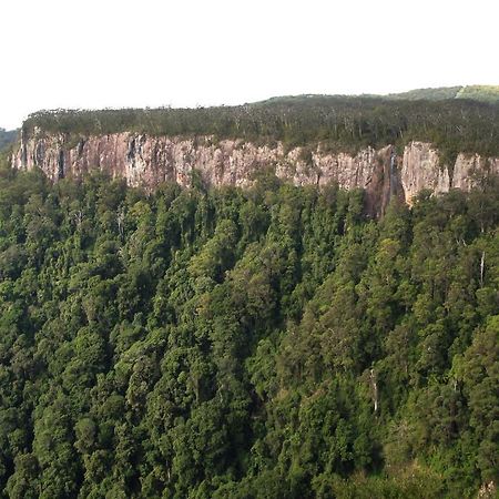 فيلا Springbrook Lyrebird Retreat المظهر الخارجي الصورة