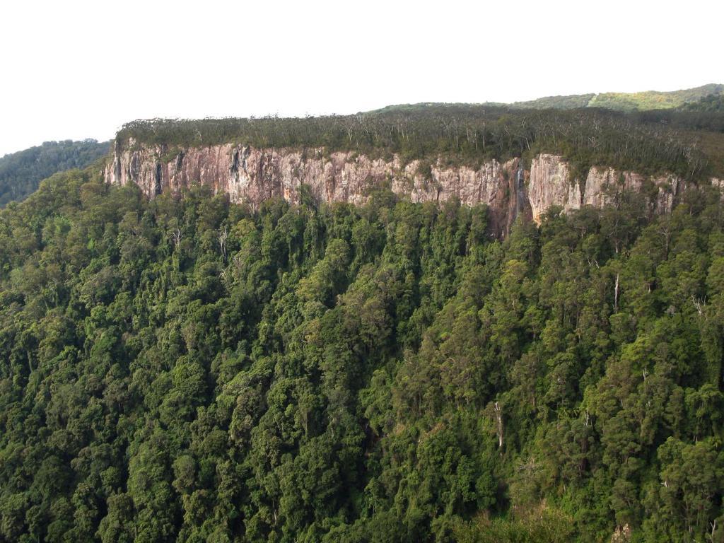 فيلا Springbrook Lyrebird Retreat المظهر الخارجي الصورة