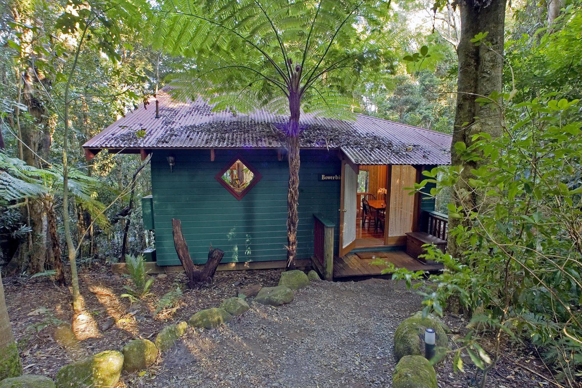 فيلا Springbrook Lyrebird Retreat المظهر الخارجي الصورة