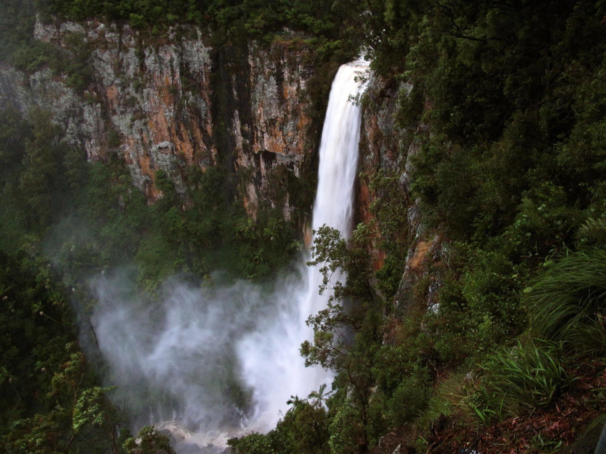 فيلا Springbrook Lyrebird Retreat المظهر الخارجي الصورة