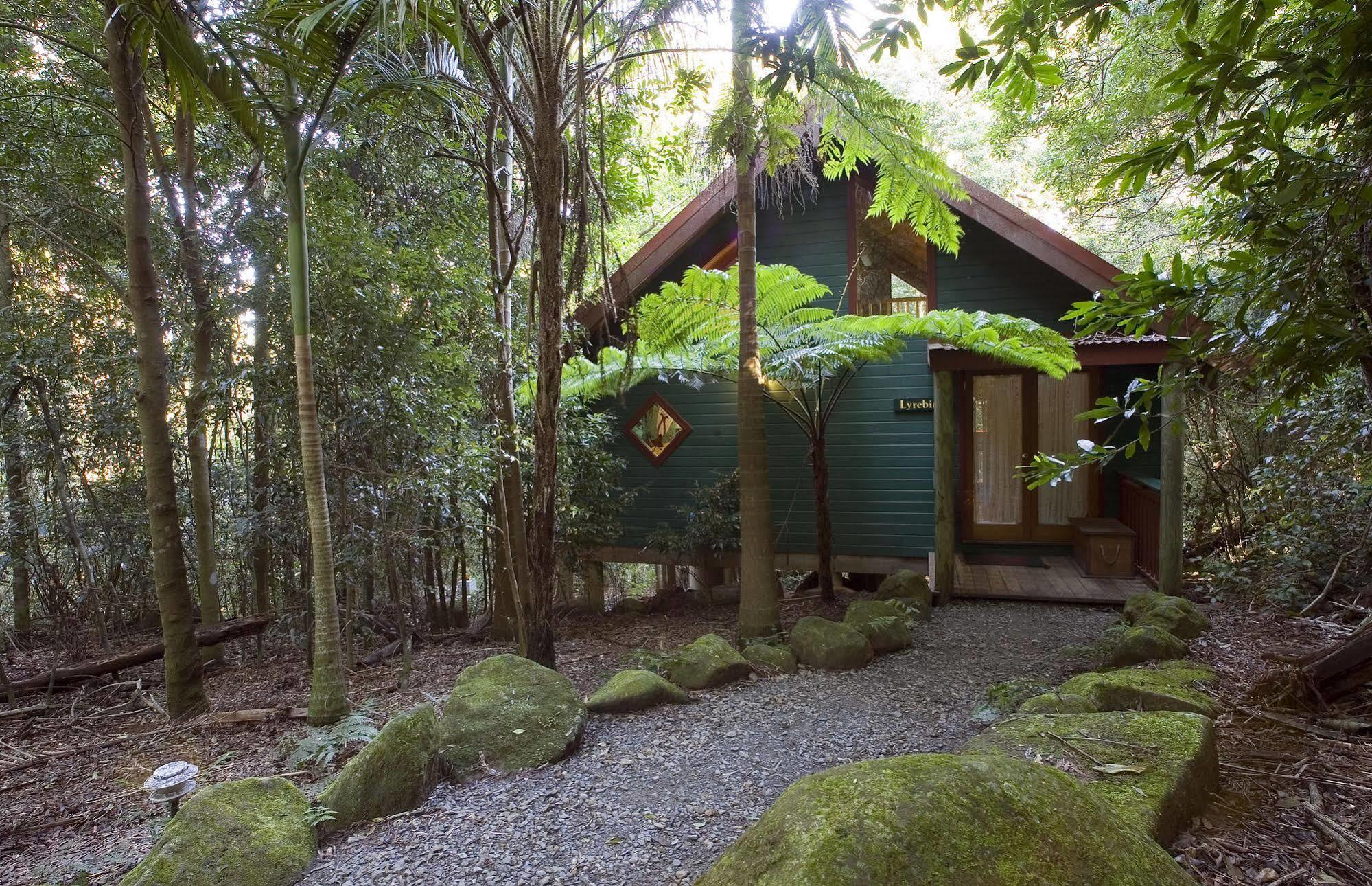 فيلا Springbrook Lyrebird Retreat المظهر الخارجي الصورة