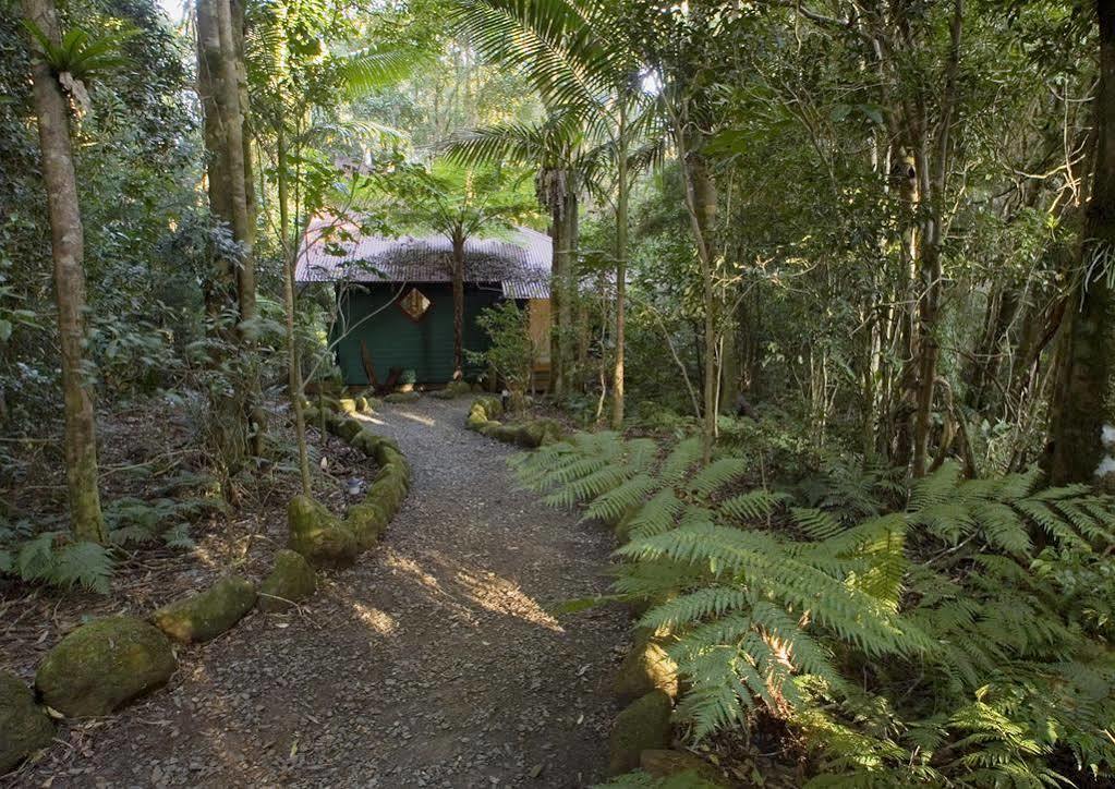 فيلا Springbrook Lyrebird Retreat المظهر الخارجي الصورة