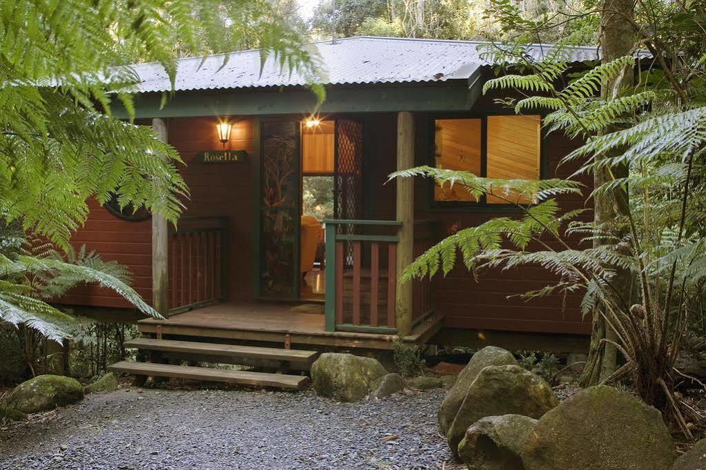 فيلا Springbrook Lyrebird Retreat المظهر الخارجي الصورة