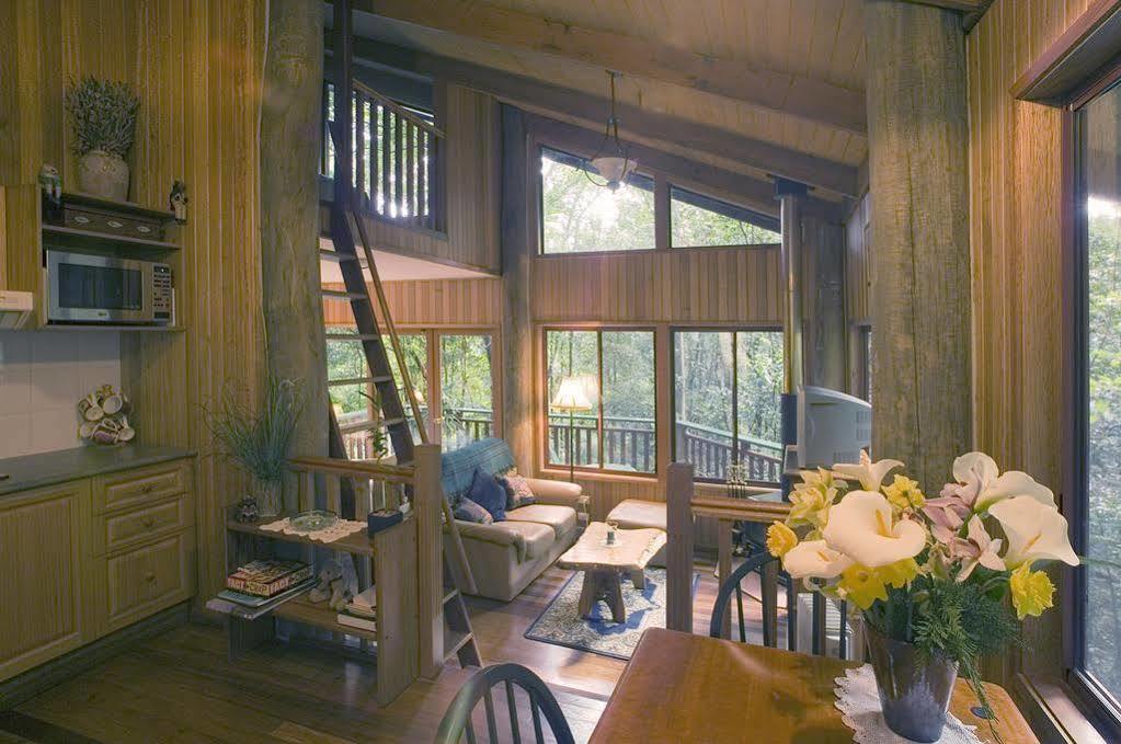 فيلا Springbrook Lyrebird Retreat المظهر الخارجي الصورة